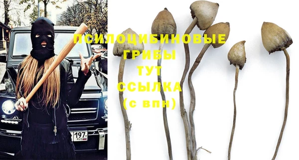соль курить ск Абаза